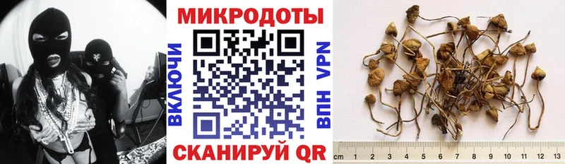 Галлюциногенные грибы MAGIC MUSHROOMS  mega tor  Судогда 